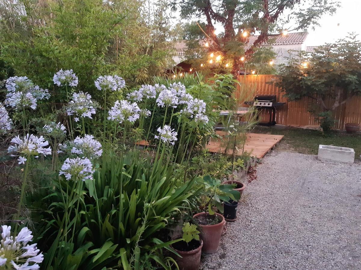 Villa " Les Bambous " , Jardin , Terrasse , Climatisation , Wifi , Parking 亞維農 外观 照片