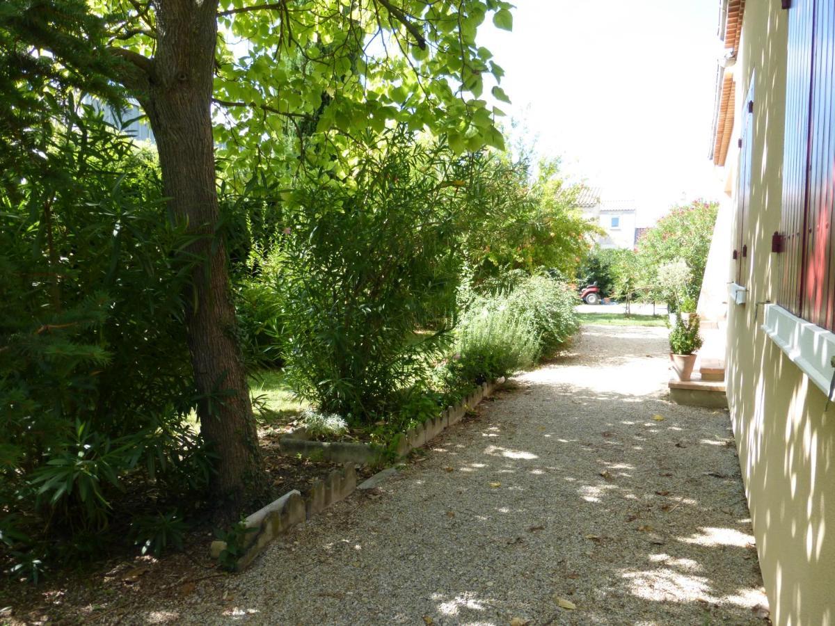 Villa " Les Bambous " , Jardin , Terrasse , Climatisation , Wifi , Parking 亞維農 外观 照片